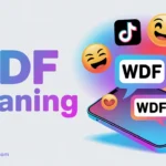 WDF Meaning