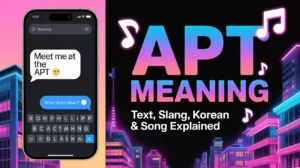 APT Meaning