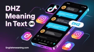 DHZ Meaning