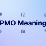 pmo meaning
