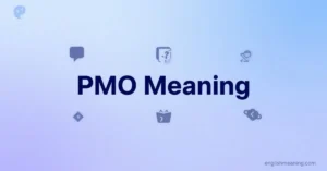 pmo meaning